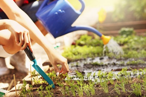 Healthy lawn care in Chislehurst with freshly maintained grass