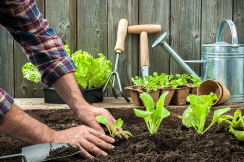 Landscape business website cookie policy introduction