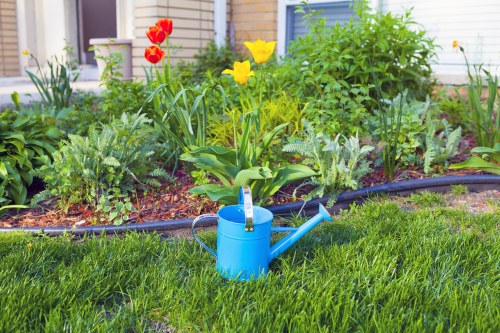 Seasonal garden maintenance work in a Chislehurst backyard