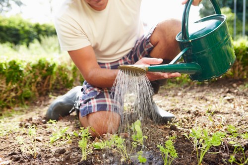 Practical outdoor features in a renovated Chislehurst garden
