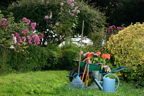 Professional lawn mowing service in a Chislehurst garden
