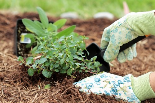 Resolving a landscaping complaint with documentation