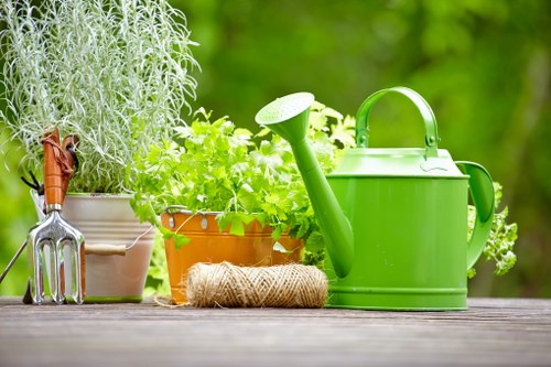 Landscape gardeners in Chislehurst planning a garden design