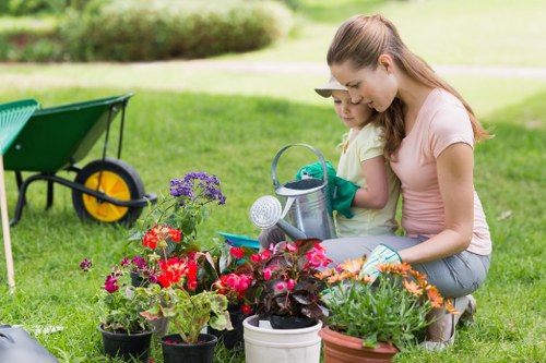 Common patio repair methods including relaying and repointing