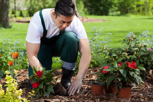 Healthy lawn care as part of garden maintenance in Chislehurst