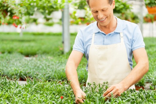 Professional review of completed garden work
