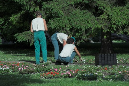 Garden planting and landscaping features in Chislehurst