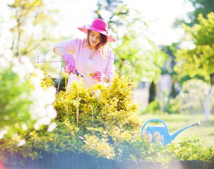 Outdoor landscaping design ideas in Chislehurst