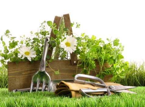 Commitment to zero tolerance and ethical sourcing in landscaping