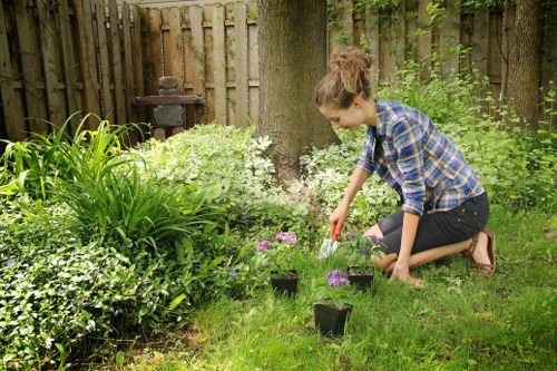 Cookie policy update section for a landscaping website