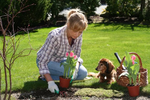Prepared soil and newly installed plants for long-term garden success