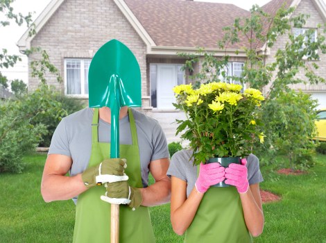 Planning a garden renovation layout in Chislehurst