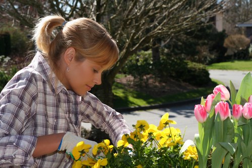 Hard and soft landscaping features in Chislehurst