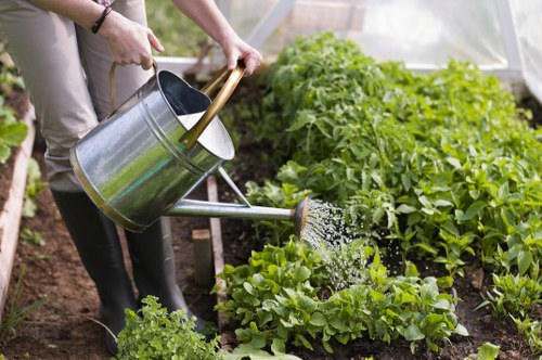 Regular hedge maintenance improving garden kerb appeal