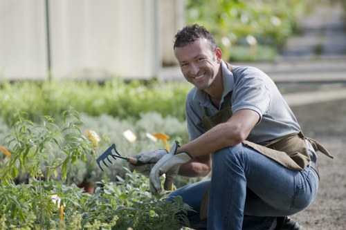 Landscaping service issue assessment on a property